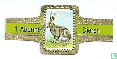 [Hare] - Image 1