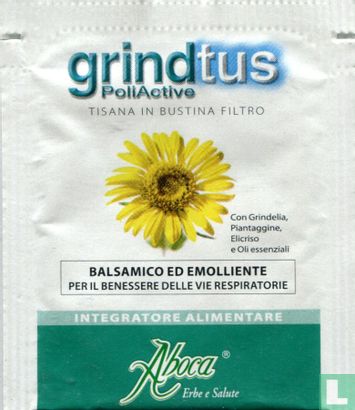 Grindtus PollActive - Image 1