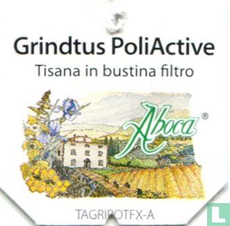 Grindtus PollActive - Image 3