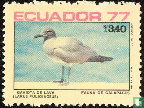 Vogels van Galapogos   