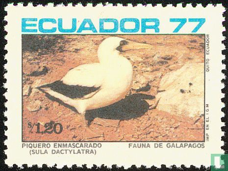 Vogels van Galapogos