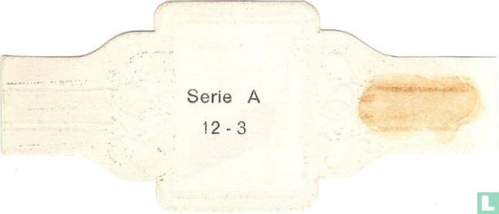 Poland - Image 2