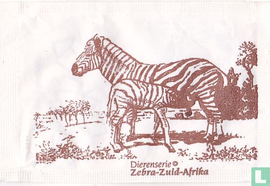 Zebra-Zuid-Afrika - Afbeelding 1