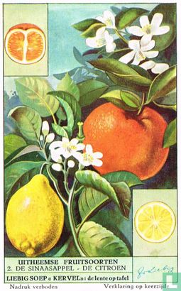 De sinaasappel - De citroen