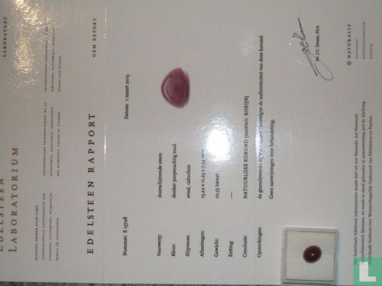 robijn edelsteen uit Birma met certificaat 10.55crt - Afbeelding 3