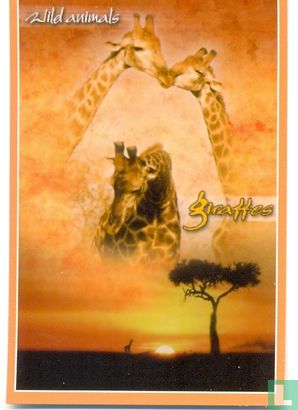 Wild animals - Giraffes - Afbeelding 1