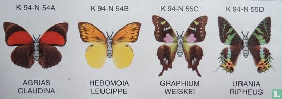 Hebomoia Leucippe - Image 2