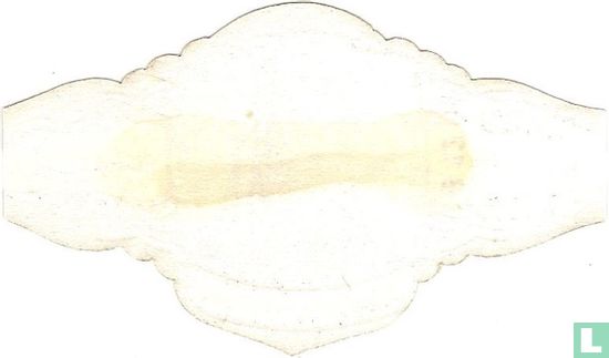 Amphibeto Orukter 1804 - Bild 2