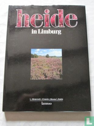 Heide in Limburg - Bild 1
