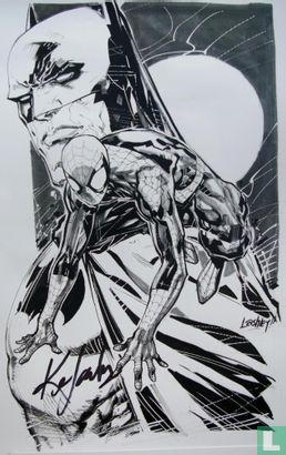 Spider-man & Batman