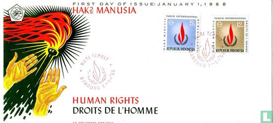 Internationaal jaar van de mensenrechten  