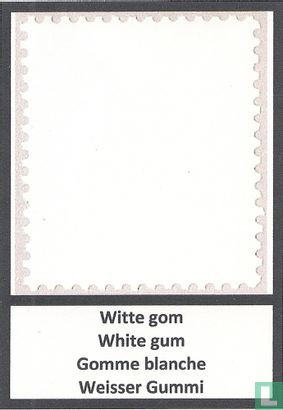 Witte kwikstaart - Afbeelding 2
