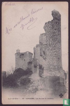 Vendome, Les Ruines du Chateau
