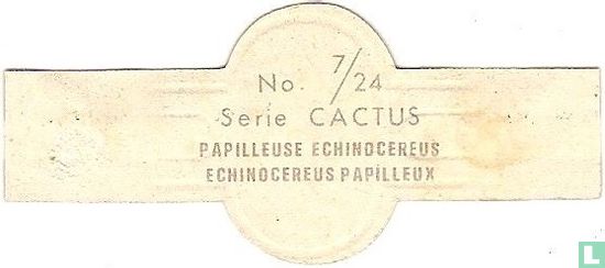 Papilleuse Echinocereus - Afbeelding 2