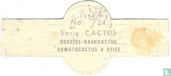 Borstel-haakcactus - Afbeelding 2