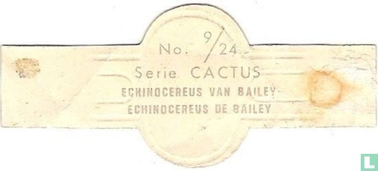 Echinocereus van Bailey - Afbeelding 2