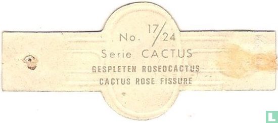 Gespleten roseocactus - Afbeelding 2