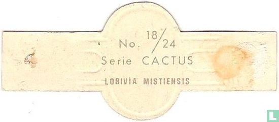 Losivia Mistiensis - Afbeelding 2