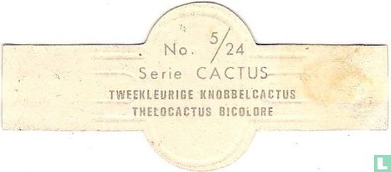 Tweekleurige knobbelcactus - Afbeelding 2