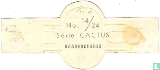 Haageocereus - Afbeelding 2