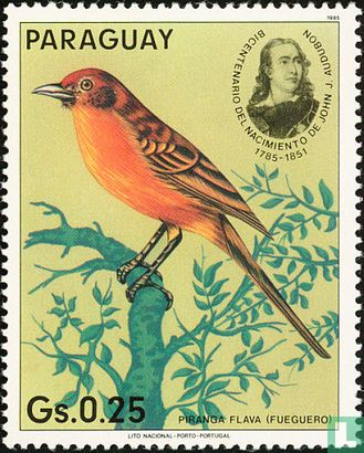 John James  Audubon - Vögel