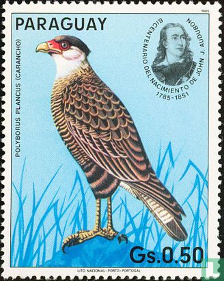 John James Audubon - Birds