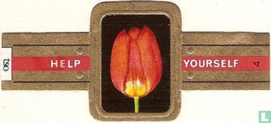 Einzelne frühe Tulpe-Allgemeines Gesetz - Bild 1