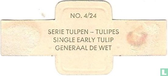Single early tulip - Generaal de Wet - Afbeelding 2