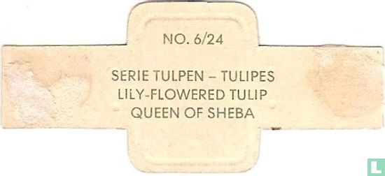 Lily-flowered Tulpe-Königin von Saba - Bild 2