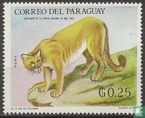 cougar