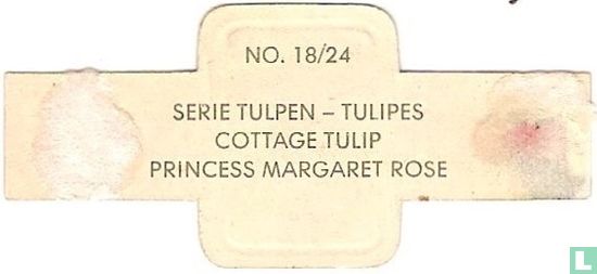 Ferienhaus Tulip-Princess Margaret rose - Bild 2