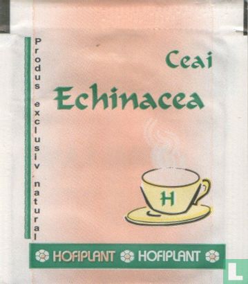 Ceai Echinacea  - Afbeelding 1