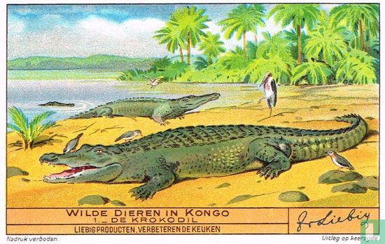 De Krokodil