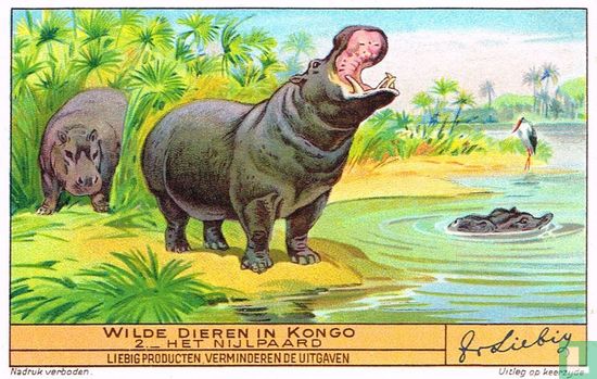 Het Nijlpaard