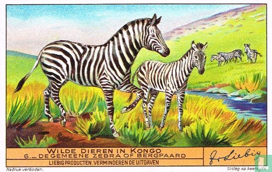 De gemeene Zebra of Bergpaard
