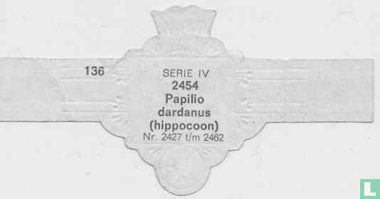 papilio dardanus (hippocoon) - Afbeelding 2