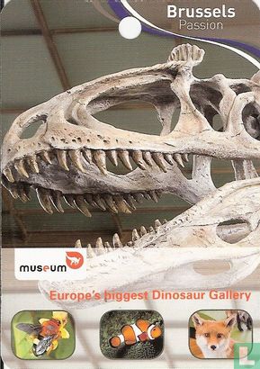 Europe´s Dinosaur Gallery - Bild 1