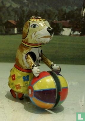 Hond met bal