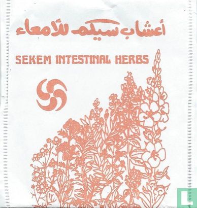 Intestinal Herbs - Image 1