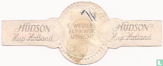 E. Western-SBV-Utrecht - Bild 2