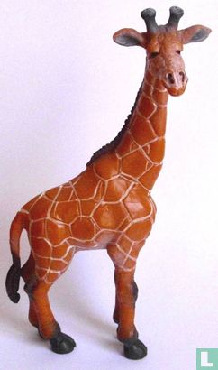 Giraffe stehend - Afbeelding 1
