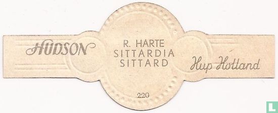 R. Hart-Sittardia-Sittard - Image 2