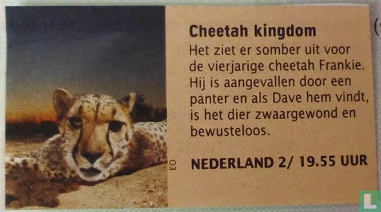 Cheetah Kingdom