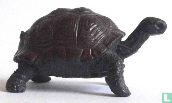 Reuzenschildpad - Afbeelding 1