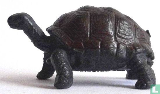 Reuzenschildpad - Afbeelding 2