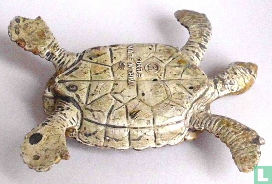 Zeeschildpad - Afbeelding 2