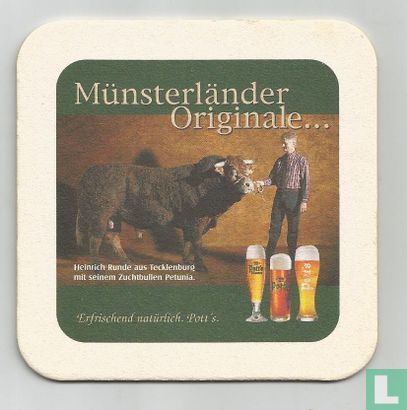 Münsterländer originale... - Image 1