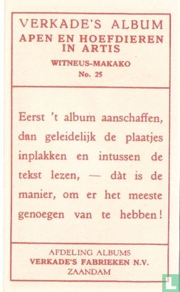 Witneus-Makako. - Image 2
