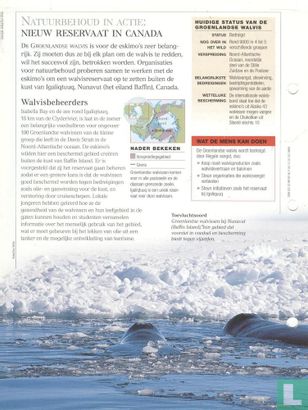 Red de Groenlandse walvis - Bild 2