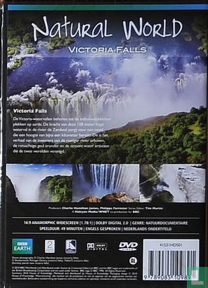 Victoria Falls - Bild 2